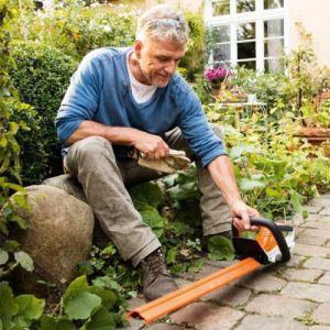 STIHL HSA 45 Beispielbild 2
