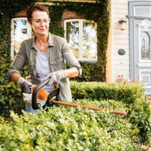 STIHL HSA 45 Beispielbild