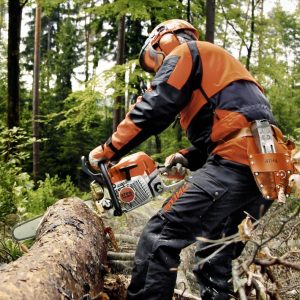 STIHL MS 362 Anwendung 2