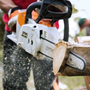 STIHL MSA 160 Akku Anwendung