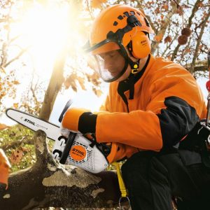 STIHL MS 151 TCE Anwendung