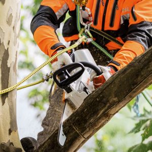 STIHL MSA 161 T Anwendung