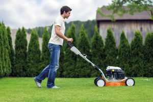 STIHL RM 2 RT Anwendung