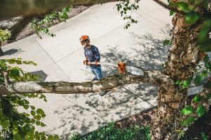 STIHL HT 135 Anwendung