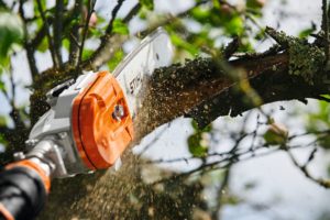STIHL HTA 135 Anwendung 2
