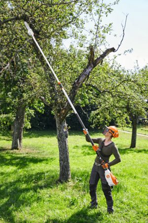 STIHL HTA 135 Anwendung 3