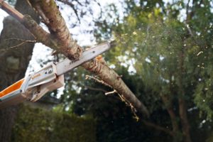 STIHL HTA 50 Abbildung 5